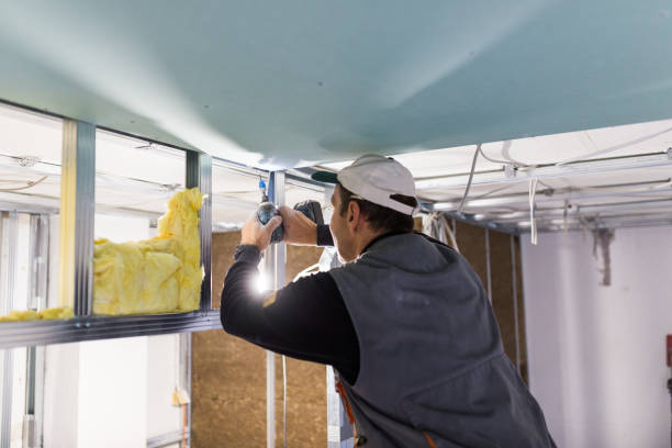 Best Commercial Insulation in Roebling, NJ